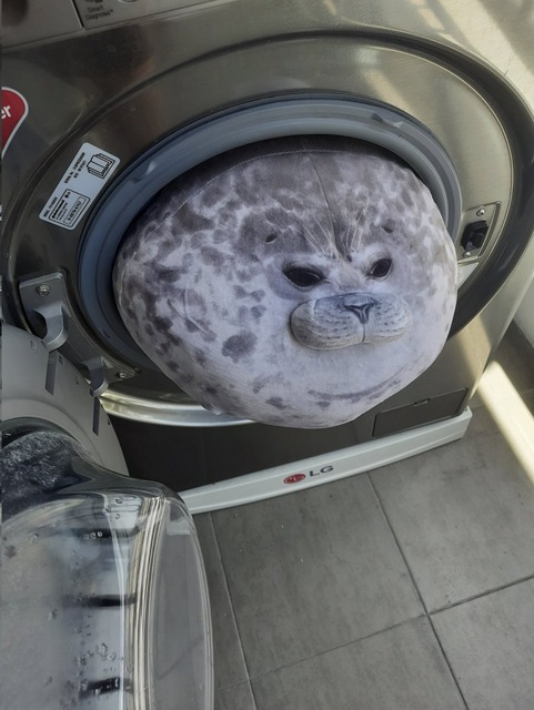 やっちまった速報(画像11/05165050936884_8) やっちまった速報(画像11/05165050936884_8)