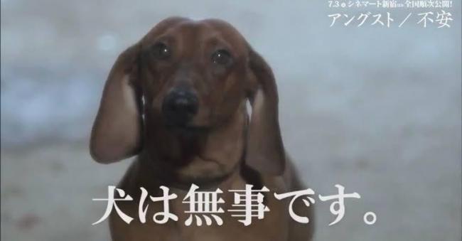 やっちまった速報(画像11/13122059619269_11) やっちまった速報(画像11/13122059619269_11)