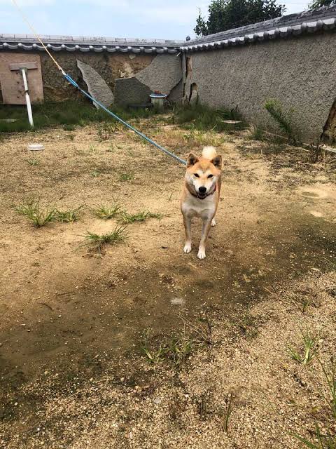 やっちまった速報(画像11/13135154173933_7) やっちまった速報(画像11/13135154173933_7)
