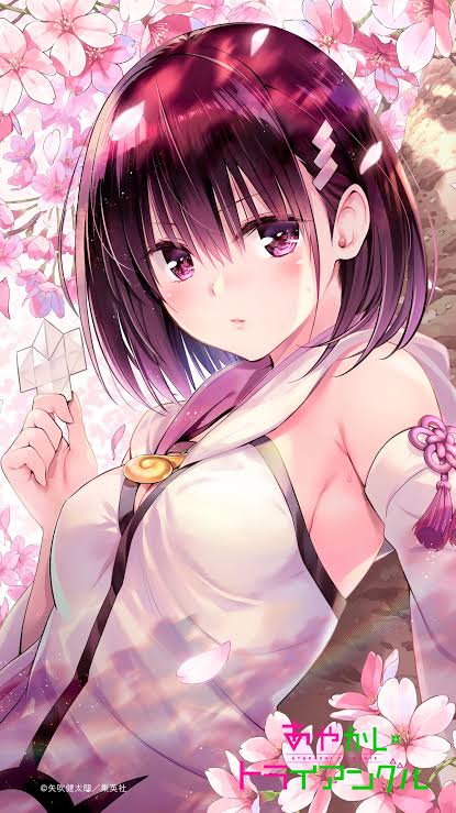 やっちまった速報(画像11/19205615146005_12) やっちまった速報(画像11/19205615146005_12)