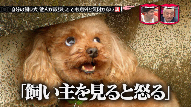 やっちまった速報(画像11/22172955601404_3) やっちまった速報(画像11/22172955601404_3)