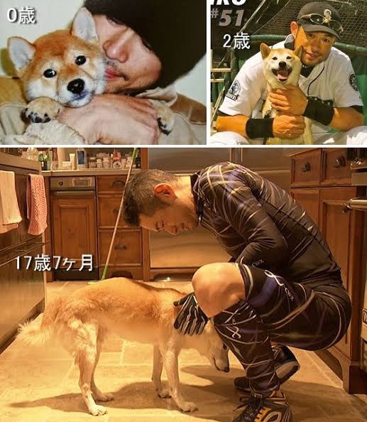 やっちまった速報(画像11/22172955601404_7) やっちまった速報(画像11/22172955601404_7)