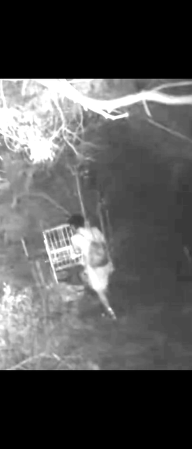 やっちまった速報(画像05152834873088_9)