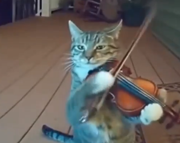 やっちまった速報(最新記事1)