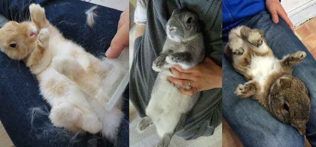 やっちまった速報(画像06175633415079_9)