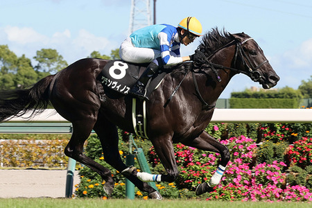 やっちまった速報(最新記事8)