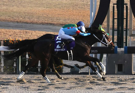 やっちまった速報(ピックアップ3)