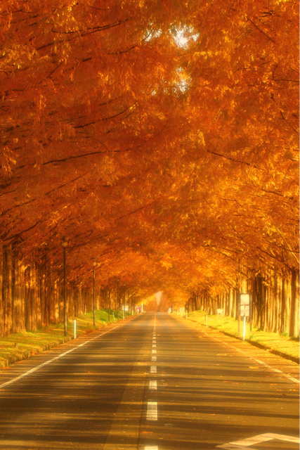 やっちまった速報(画像08181951622938_2)