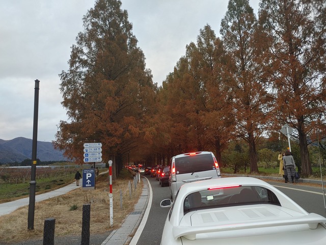 やっちまった速報(画像08181952358487_3)