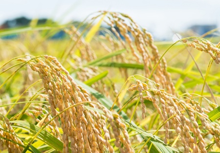 やっちまった速報(最新記事1)