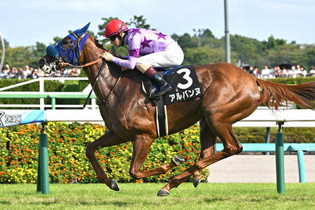 やっちまった速報(最新記事1)