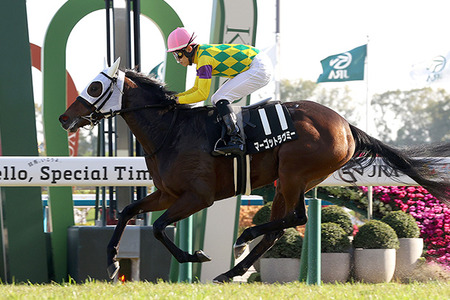 やっちまった速報(最新記事11)