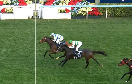 やっちまった速報(最新記事4)