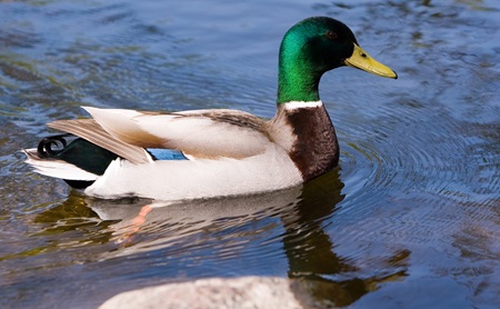 やっちまった速報(最新記事15)