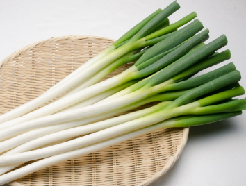 やっちまった速報(最新記事9)