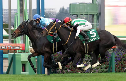 やっちまった速報(最新記事1)