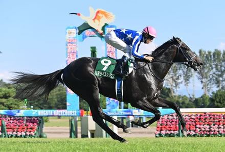 やっちまった速報(最新記事8)