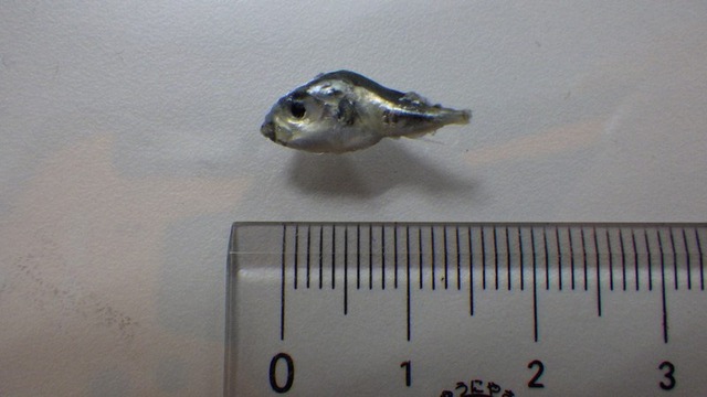 やっちまった速報(画像22143259925080_2)