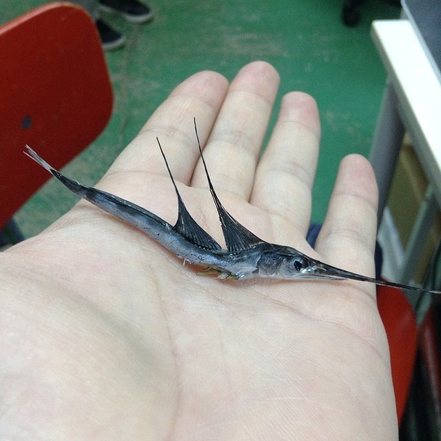 やっちまった速報(画像22143300887032_4)