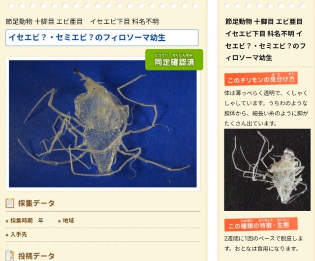 やっちまった速報(画像22143301348605_5)