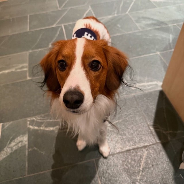 やっちまった速報(画像23085905743746_4)