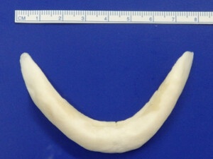 やっちまった速報(画像24125707068910_5)