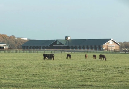 やっちまった速報(最新記事7)