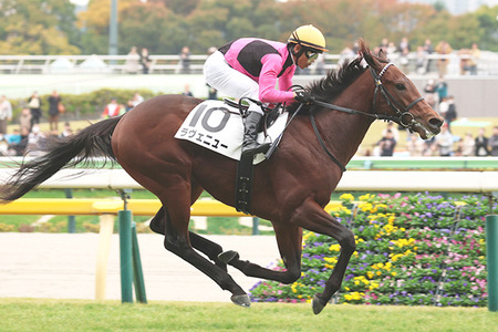 やっちまった速報(最新記事7)