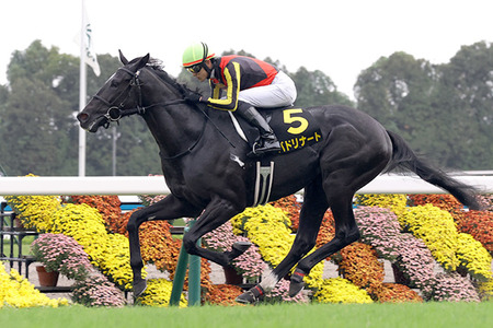 やっちまった速報(最新記事4)