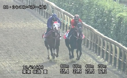 やっちまった速報(ピックアップ5)