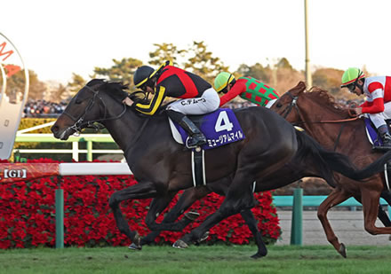 やっちまった速報(最新記事1)