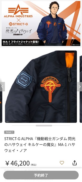 やっちまった速報(画像30181405722018_10)