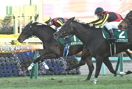 やっちまった速報(最新記事7)