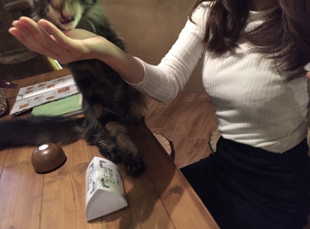 やっちまった速報(画像05212249535660_25)