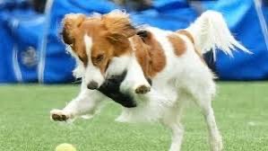 やっちまった速報(画像05212239567556_9)