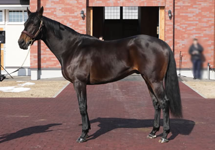 やっちまった速報(最新記事2)