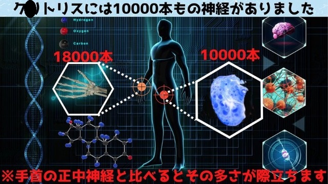 やっちまった速報(画像15071323589204_3) やっちまった速報(画像15071323589204_3)
