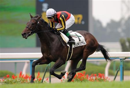 やっちまった速報(最新記事1)