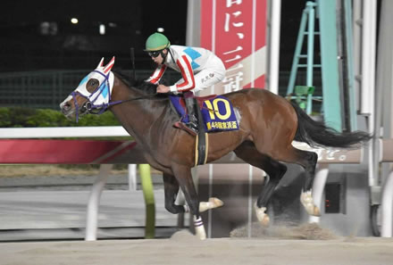 やっちまった速報(最新記事1)