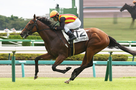 やっちまった速報(最新記事4)