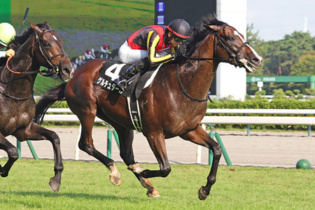 やっちまった速報(最新記事2)