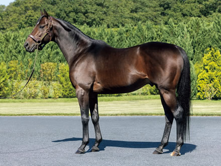 やっちまった速報(最新記事12)