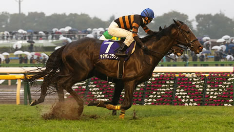 やっちまった速報(最新記事2)