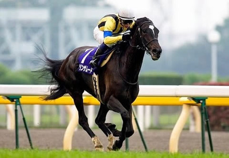 やっちまった速報(最新記事3)