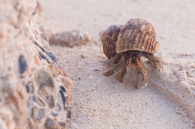 やっちまった速報(最新記事1)