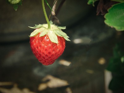 やっちまった速報(最新記事2)