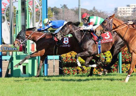 やっちまった速報(最新記事3)