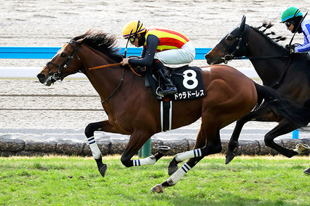 やっちまった速報(最新記事2)