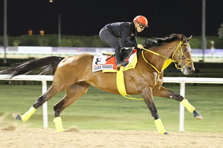 やっちまった速報(最新記事2)