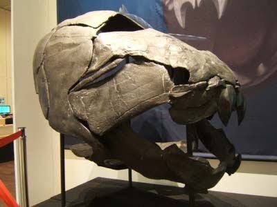 やっちまった速報(画像31020838524633_4)